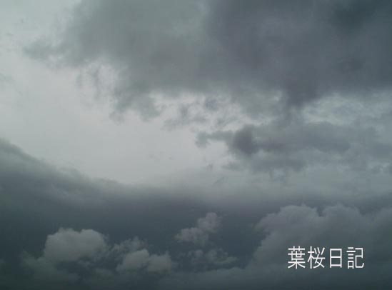 台風の空、明るくなってきた.jpg