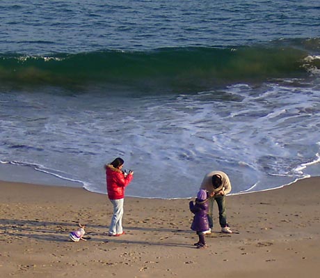 海岸で遊ぶ一家.jpg
